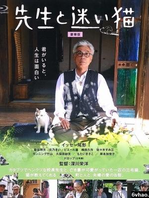 轮播影视